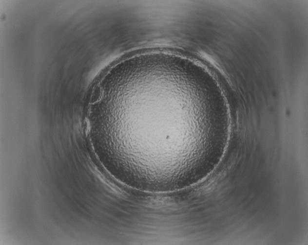 X0000058781452200510031008