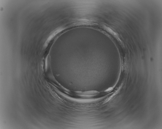 X0000058781453200510031008