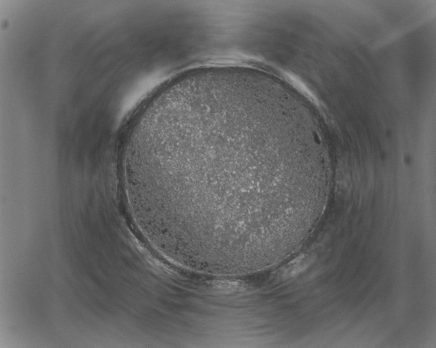 X0000058781456200510031008