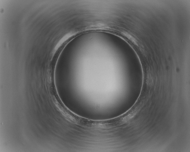 X0000058781458200510031007