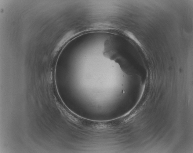 X0000058781459200510031007