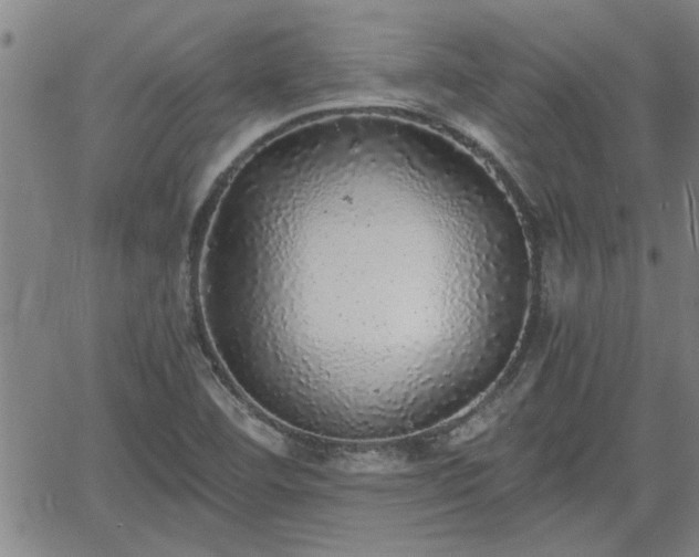 X0000058781460200510031007