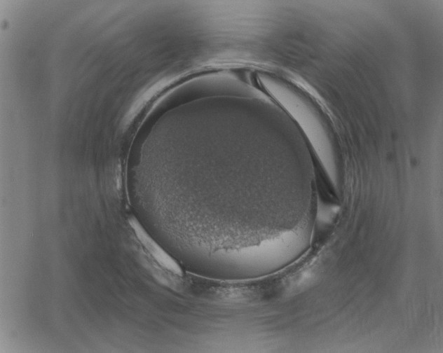 X0000058781461200510031007