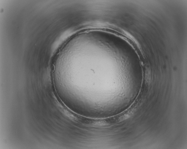 X0000058781464200510031007