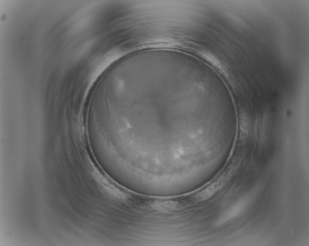 X0000058781466200510031007