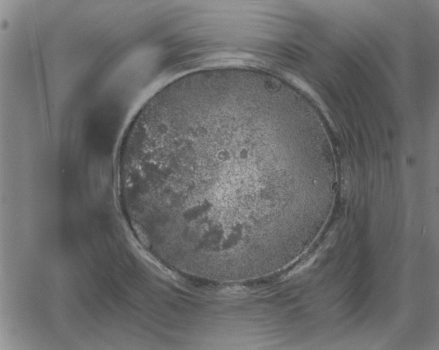 X0000058781467200510031007