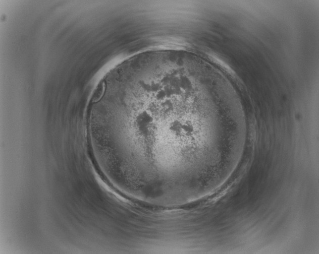 X0000058781471200510031007