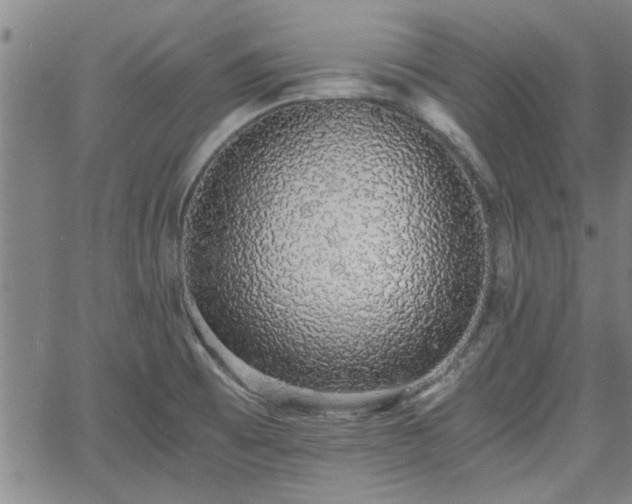 X0000058781473200510031007