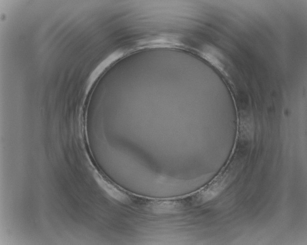 X0000058781474200510031007