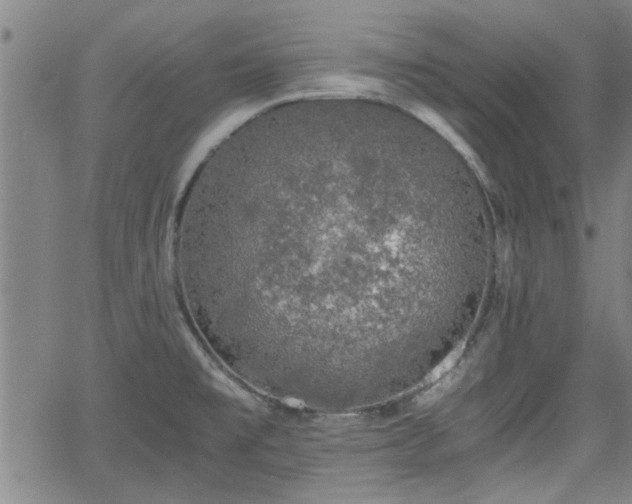 X0000058781477200510031007