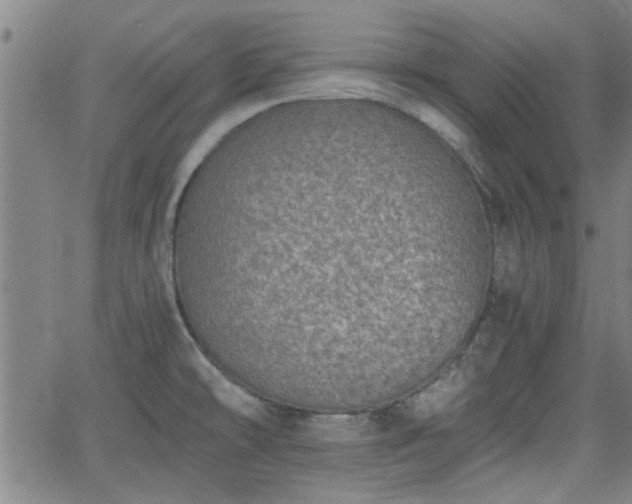 X0000058781478200510031007