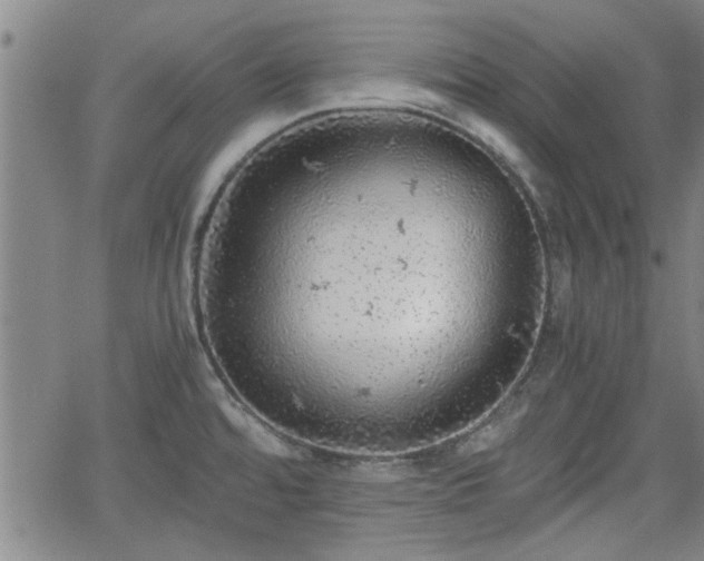 X0000058781480200510031007