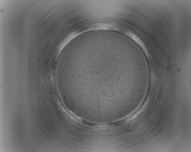 X0000058781481200510031007