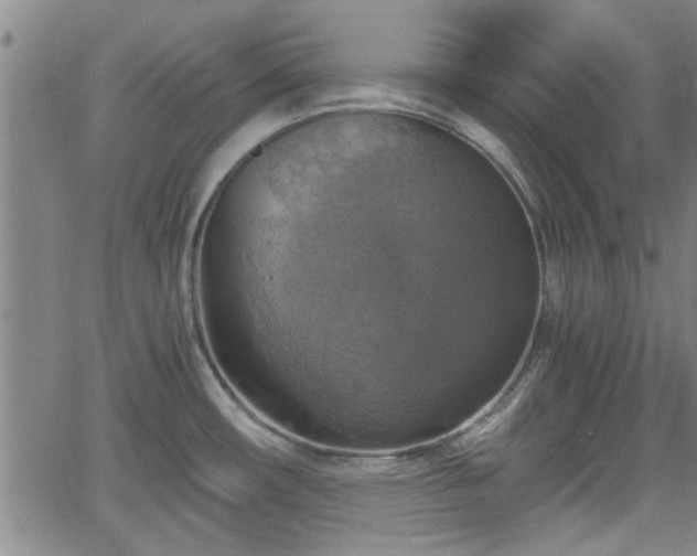 X0000058781482200510031007