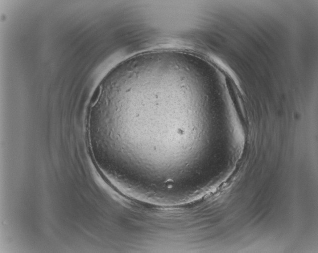 X0000058781483200510031007