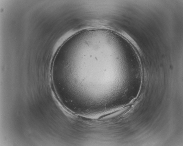 X0000058781485200510031007