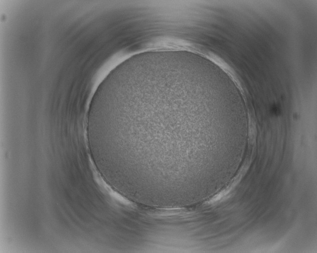 X0000058781486200510031007