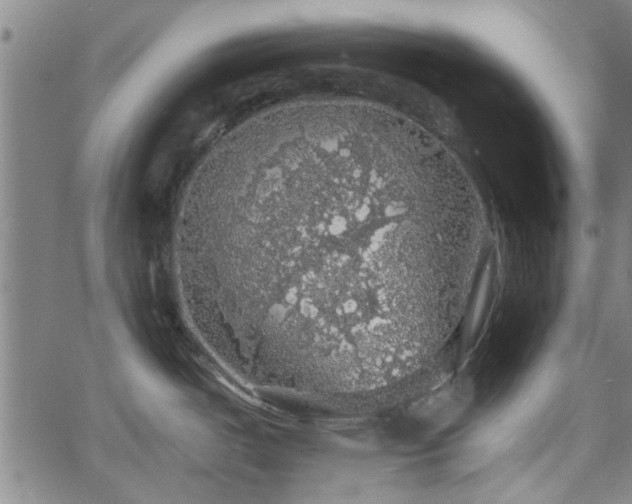 X0000058781487200510031007