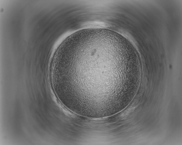 X0000058781488200510031007