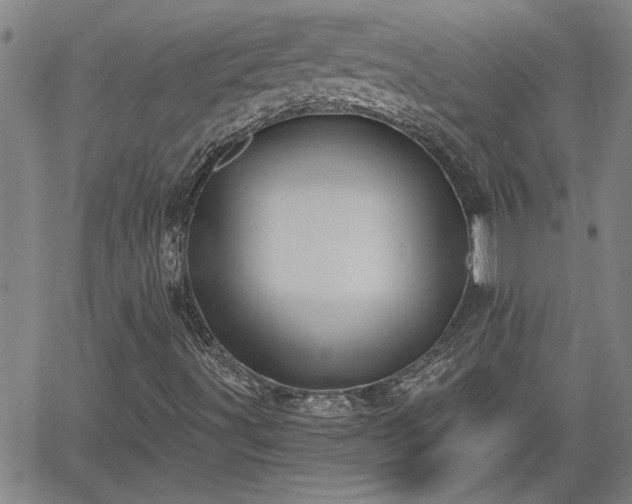 X0000058781491200510031006