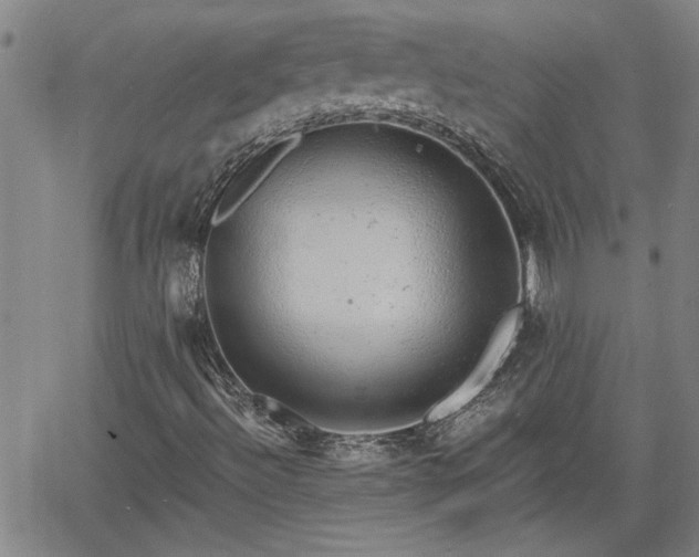 X0000058781492200510031006