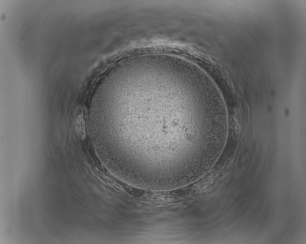 X0000058781493200510031006