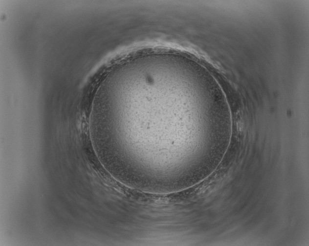 X0000058781495200510031006