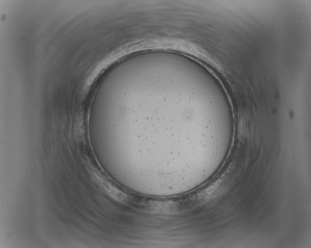 X0000058781498200510031006