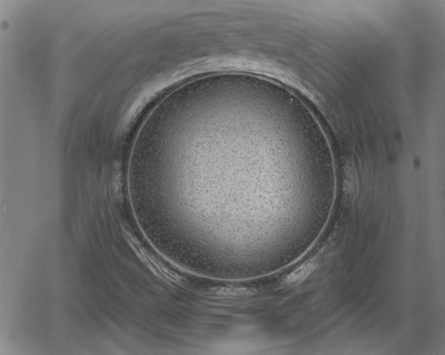 X0000058781499200510031006