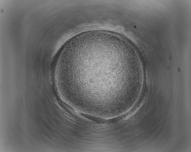 X0000058781501200510031006