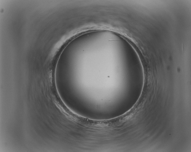 X0000058781503200510031006