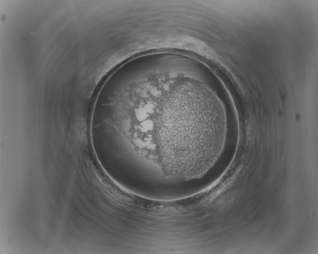 X0000058781505200510031006