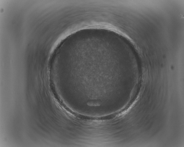 X0000058781506200510031006