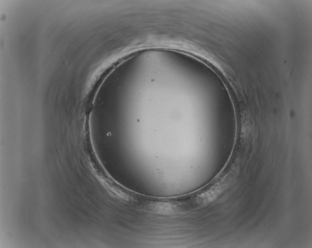 X0000058781507200510031006