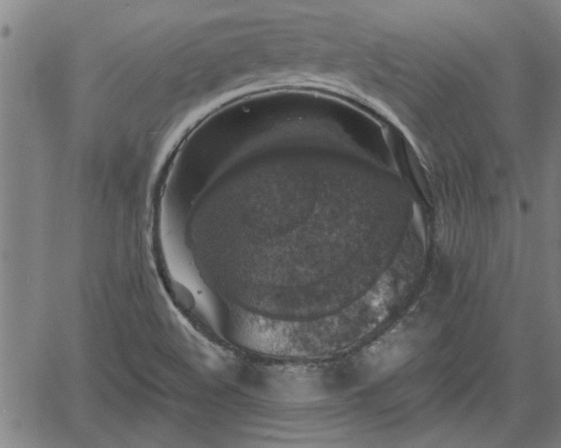 X0000058781508200510031006