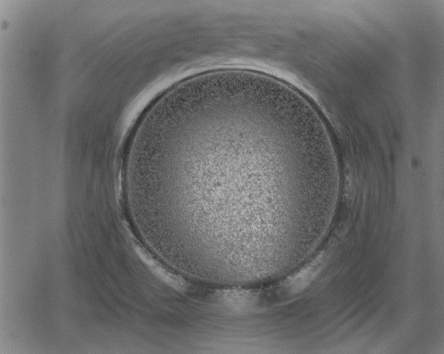 X0000058781511200510031006