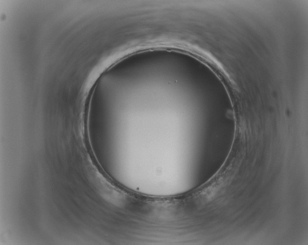 X0000058781512200510031006