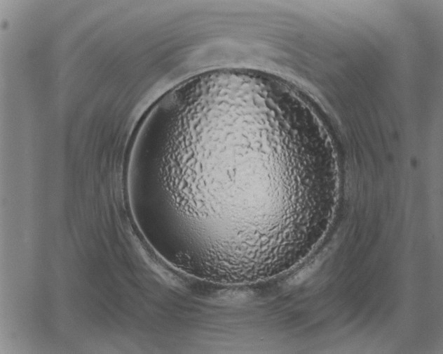 X0000058781513200510031006