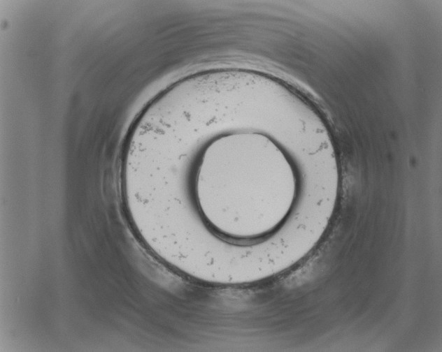 X0000058781514200510031007