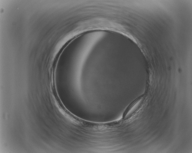 X0000058781515200510031007