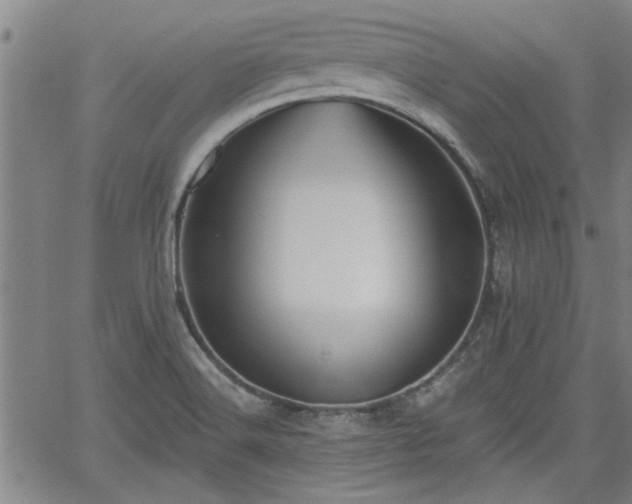 X0000058781516200510031007