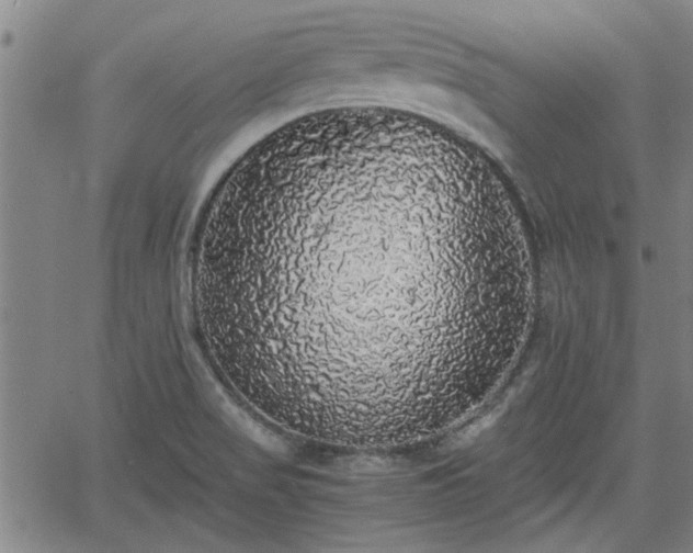 X0000058781517200510031007