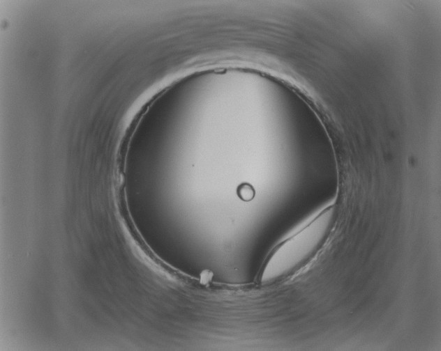 X0000058781518200510031007