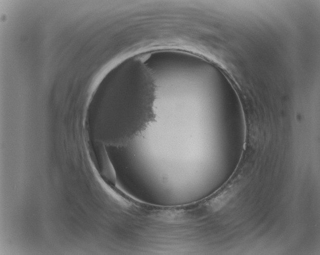 X0000058781519200510031007