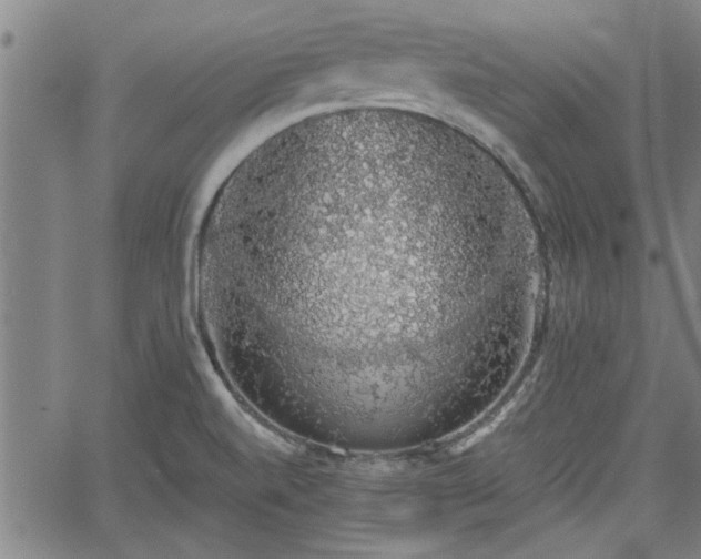 X0000058781520200510031007