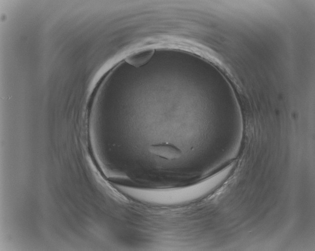 X0000058781522200510031007