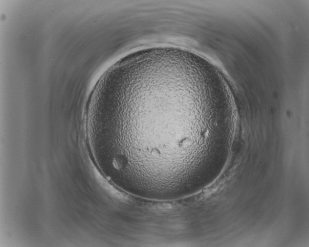 X0000058781524200510031007