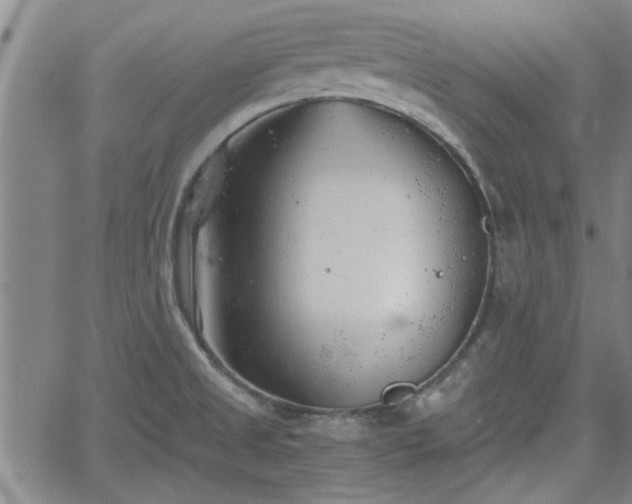 X0000058781525200510031007