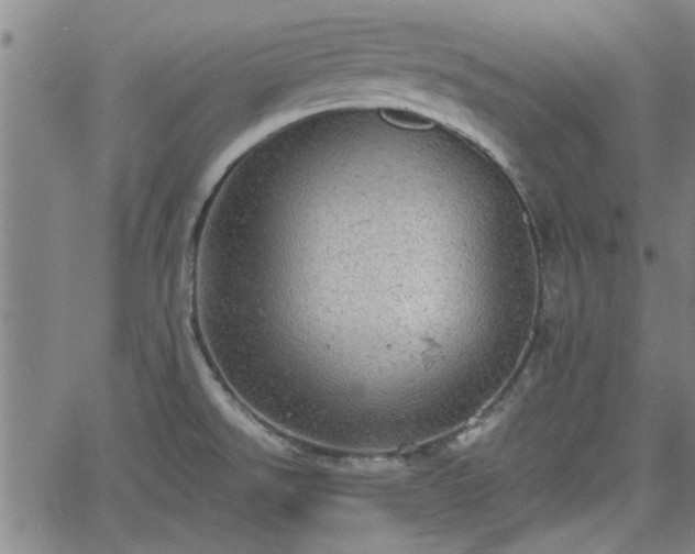 X0000058781526200510031007