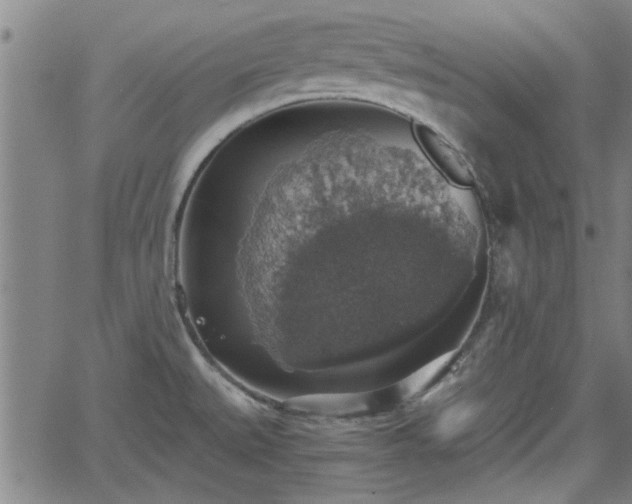 X0000058781527200510031007